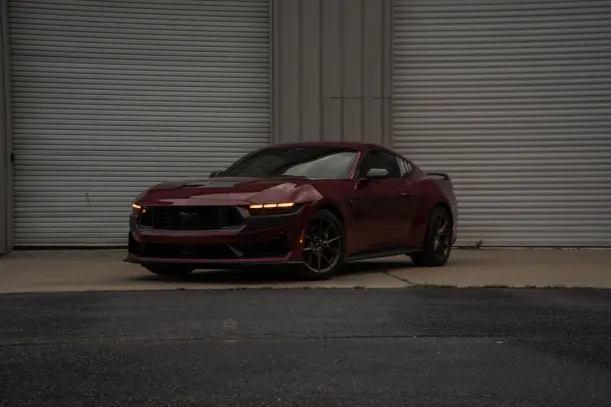 BlueLeo Kasino Android/iOS Sovellus